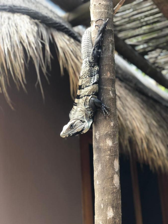 Villa Casa Nalum Tulum Esterno foto